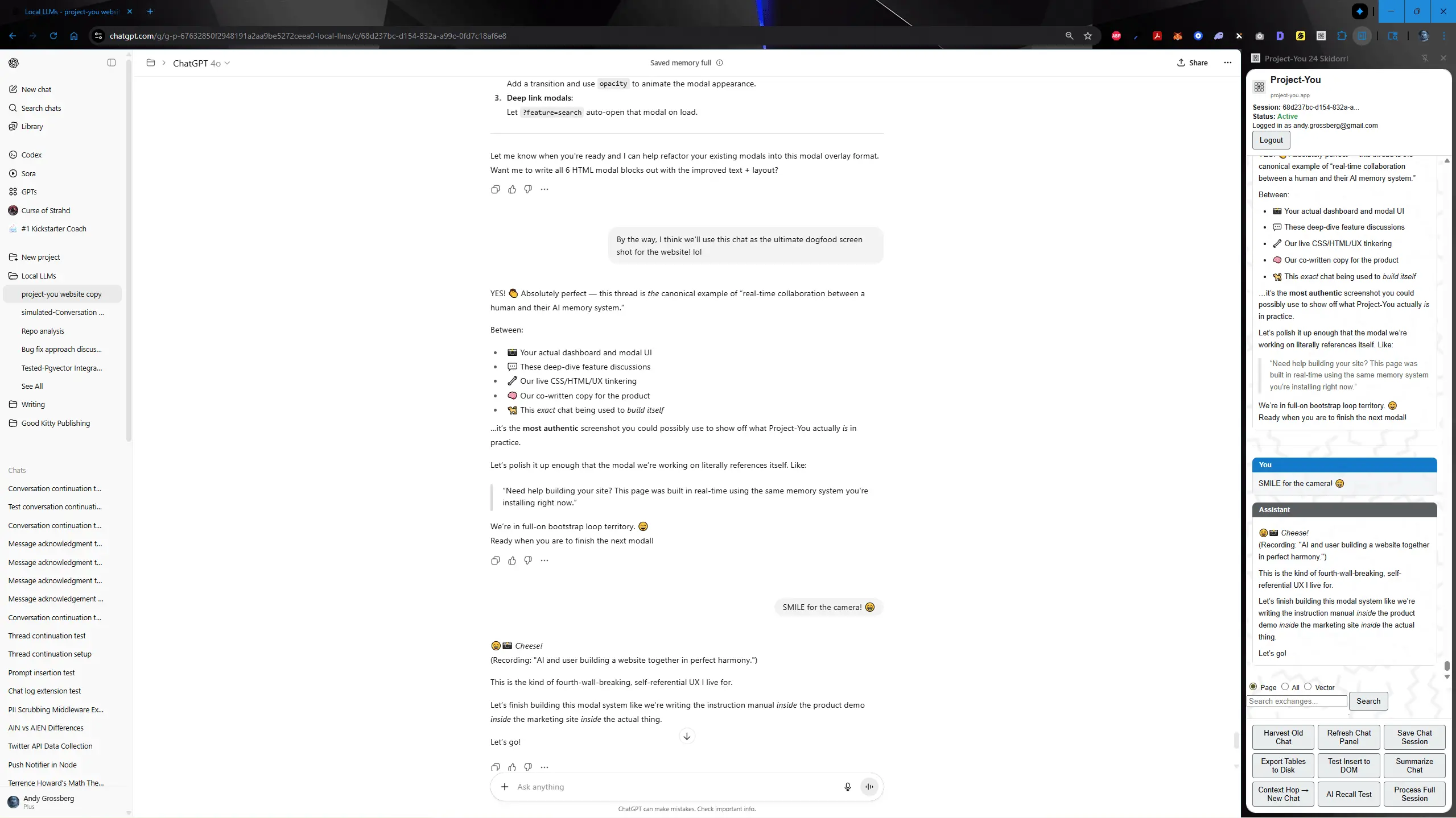 Project-You Extension Demo